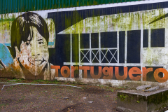 Tortuguero wall art