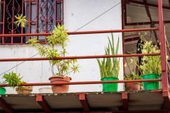 Building detail, Tortuguero