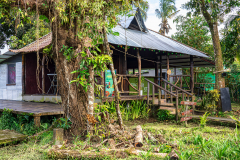 Tortuguero restaurant
