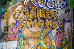Tortuguero wall art