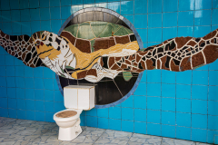 Art installation, Tortuguero