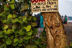 Turtle warning sign, Tortuguero