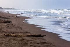 Tortuguero beach
