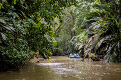 Lagoon, Tortuguero National Park