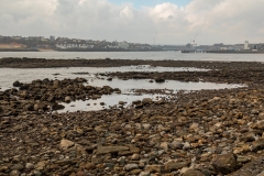 River Tyne, Tynemouth