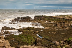 Wind farm, Whitley Bay