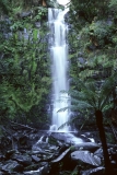 Erskine Falls