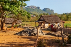 Farm buildings