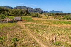 Viñales Valley