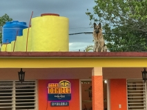 Keeping watch