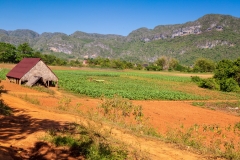Viñales Valley