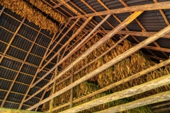 Drying tobacco