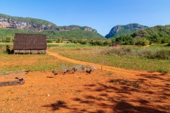 Viñales Valley