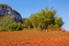 Viñales Valley
