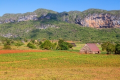 Viñales Valley