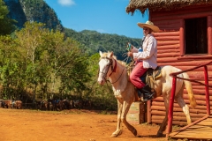 Thirsty cowboy