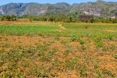 Viñales Valley