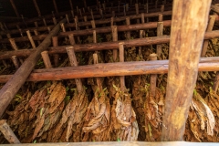 Drying tobacco