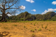 Viñales Valley