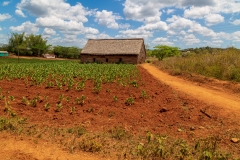 Viñales Valley