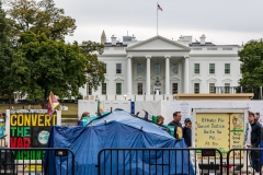 The White House