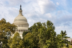 US Capitol