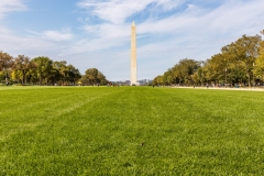 Washington Monument