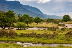 Strath na Sealga
