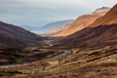 Glen Docherty