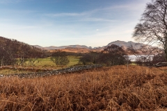 Loch Maree from Tollie Farm