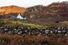 Tollie Farm