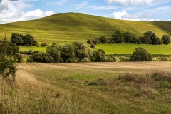 Whitcombe and Parrock Hill