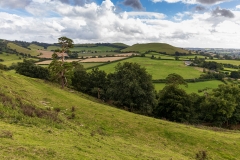 Parrock Hill from Cadbury Castle