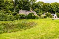 Tollard Royal cottage