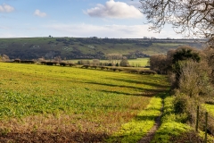 Fovant regimental badges