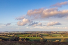 A Wiltshire view