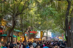 Muslim Quarter