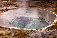 Shield Spring