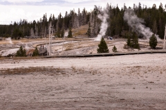 Upper Geyser Basin