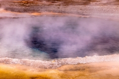 Crested Pool