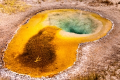 Grand Geyser