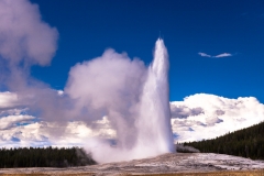 Old Faithful