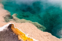 Black Pool, West Thumb Geyser BAsin