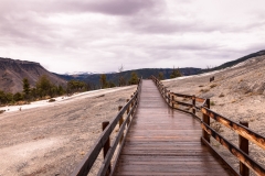 Mammoth Hot Springs Terraces
