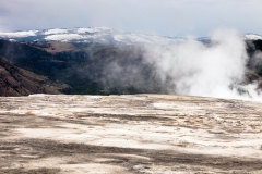 Upper Terraces, Mammoth Hot Springs