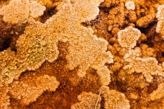 Travertine formation