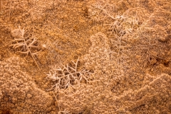 Travertine formation