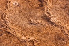 Travertine formation