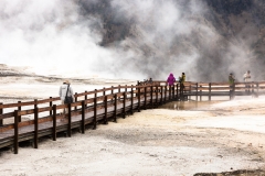 Mammoth Hot Springs Terraces