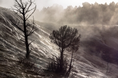 Mammoth Hot Springs Terraces